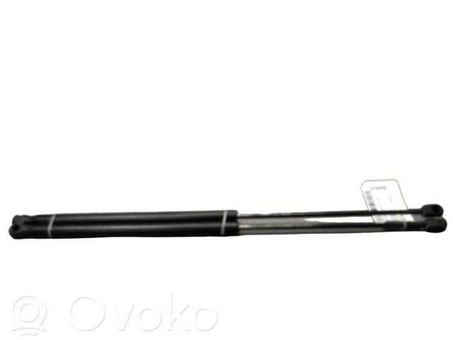 Ford Focus Tailgate/trunk strut/damper 