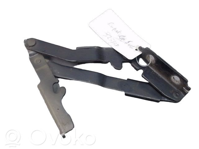 Peugeot 807 Balamale capotă 