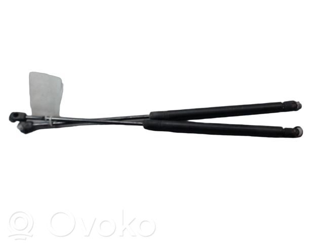 Opel Astra G Amortiguador/puntal del maletero/compartimento de carga 