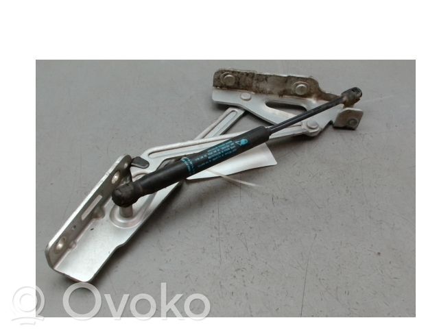 Peugeot 407 Bisagra del maletero/compartimento de carga 