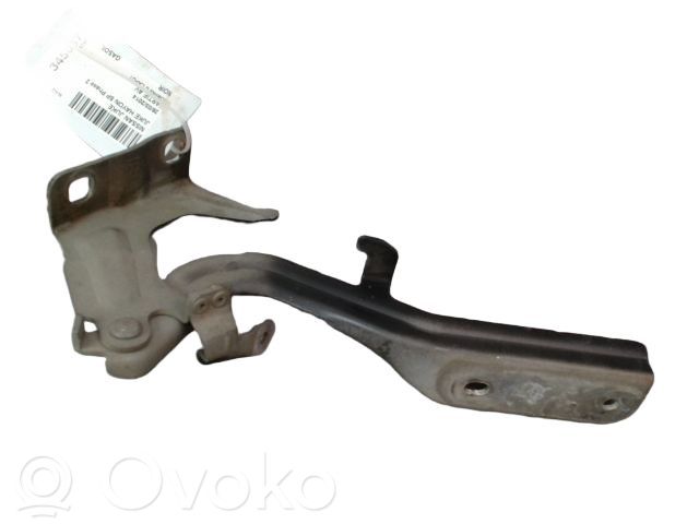 Nissan Juke I F15 Balamale capotă 