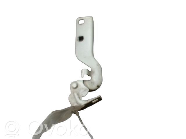 Citroen Jumper Konepellin saranat 