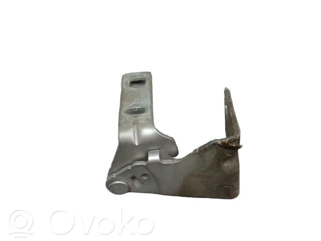 Opel Vivaro Engine bonnet/hood hinges 