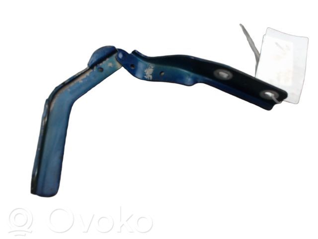 Peugeot 607 Balamale capotă 