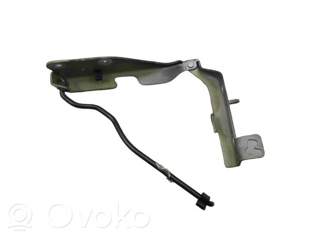 Citroen C3 Dzinēja pārsega eņģe (-es) 