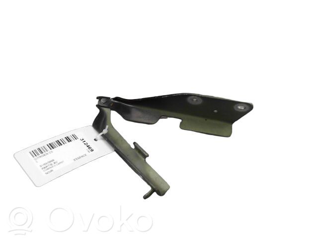 Citroen C3 Engine bonnet/hood hinges 