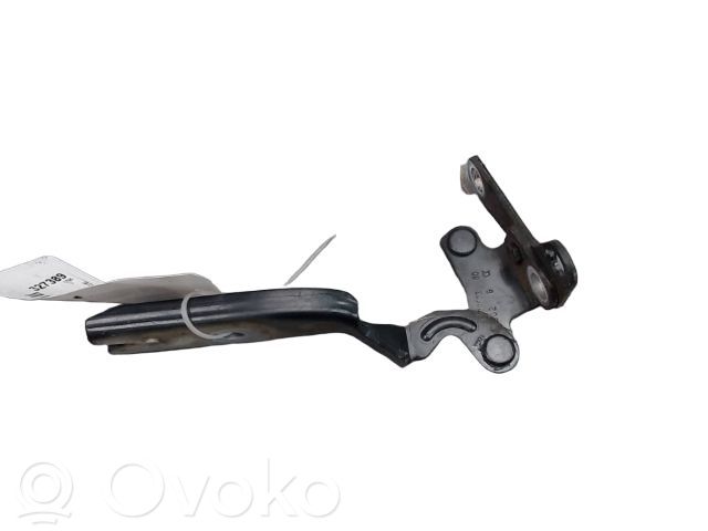 Citroen C5 Dzinēja pārsega eņģe (-es) 