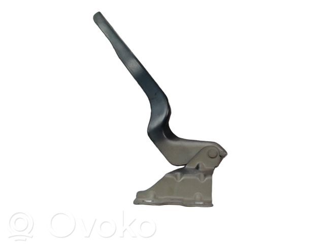 Nissan Qashqai Balamale capotă 