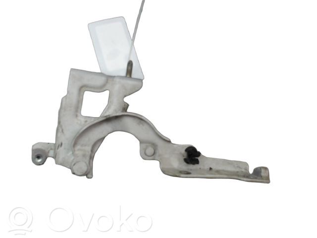 Renault Trafic III (X82) Engine bonnet/hood hinges 