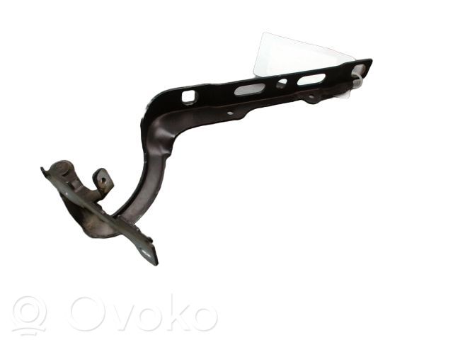 Peugeot 208 I Cerniere del vano motore/cofano 