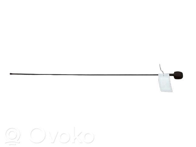 Dacia Sandero II Radion antenni 