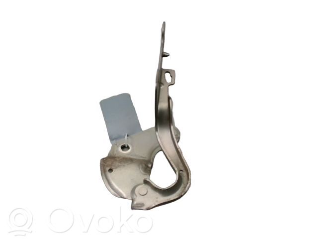 Renault Clio III Engine bonnet/hood hinges 