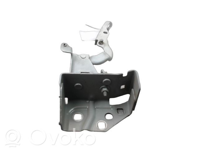Renault Trafic III (X82) Engine bonnet/hood hinges 