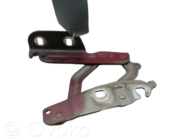 Ford Fiesta Balamale capotă 