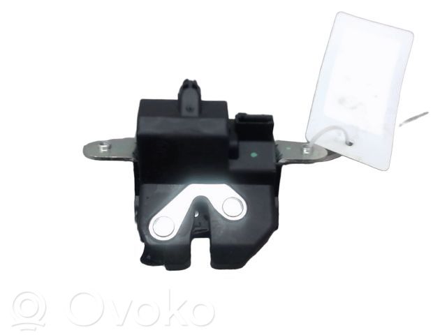 Loading door lock   13481535,13481535