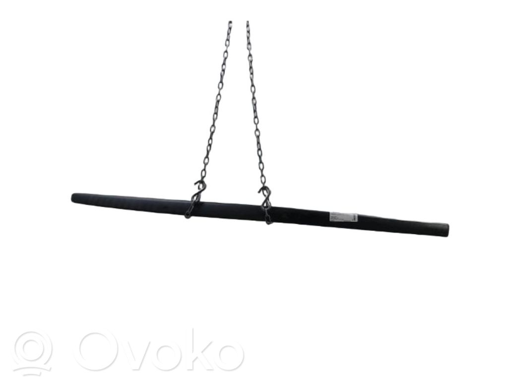 Renault Twingo II Rivestimento della portiera anteriore (modanatura)