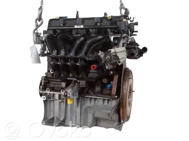 Ford Fiesta Variklis 