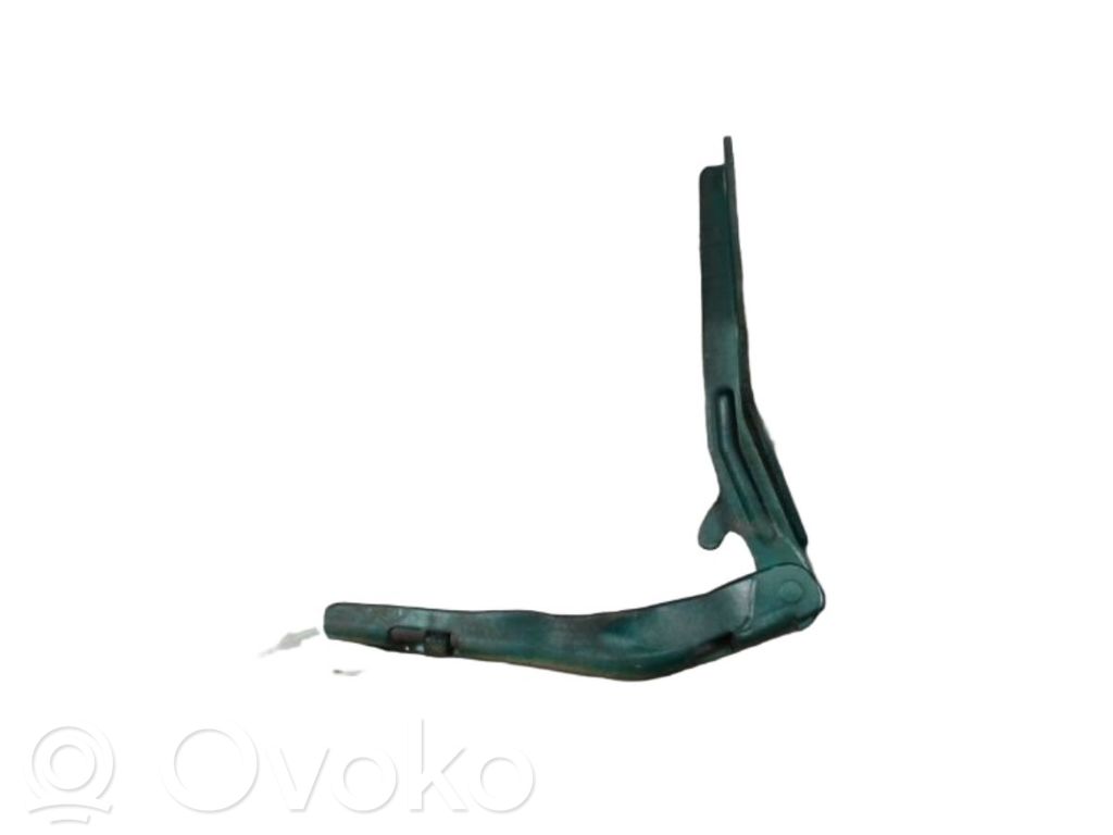 Peugeot 206 CC Balamale capotă