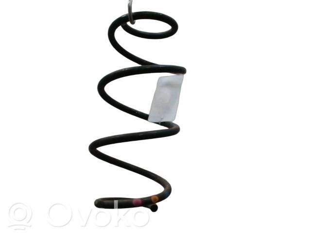 Renault Express Muelle espiral trasero 