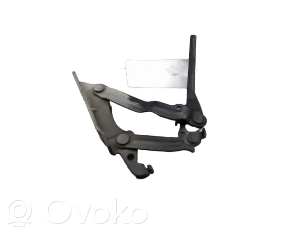 Volkswagen Golf VI Cerniere del vano motore/cofano