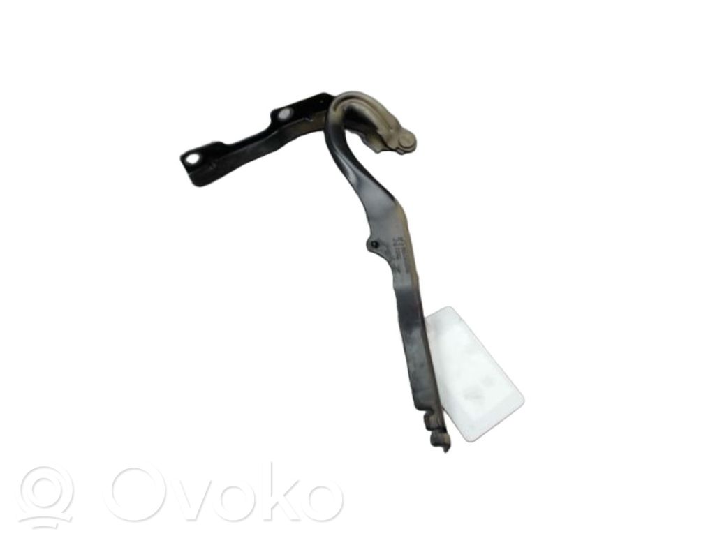Peugeot 207 CC Balamale capotă 