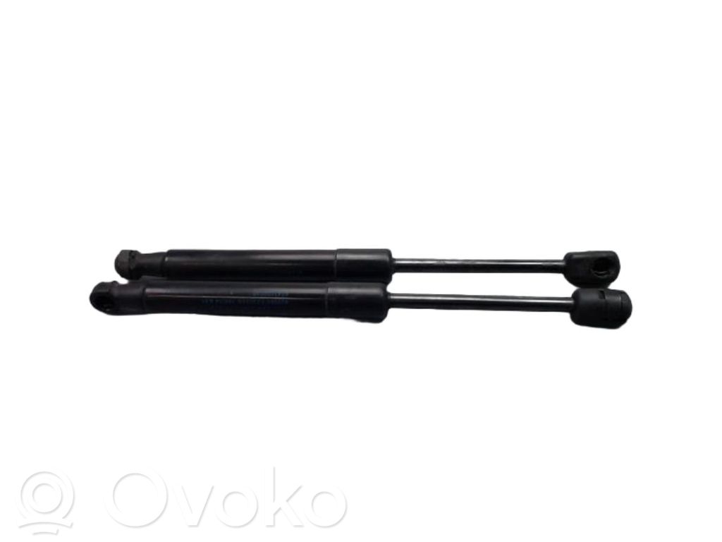 Renault Megane III Amortiguador/puntal del capó/tapa delantero 