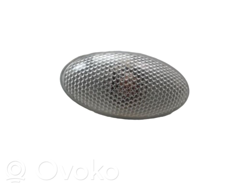 Citroen C3 Seitenblinker