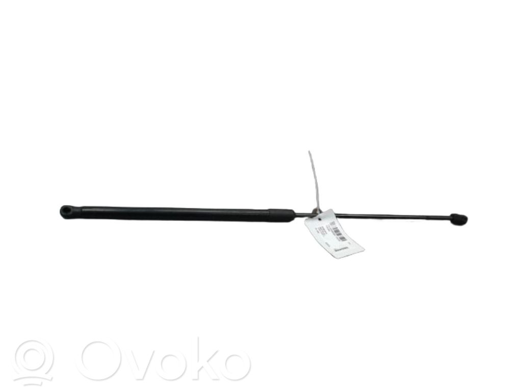 Volkswagen Tiguan Amortizor capotă motor