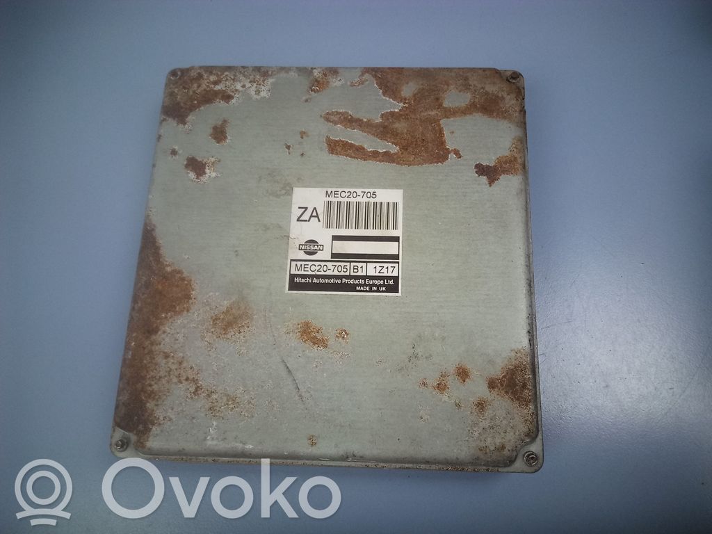 Nissan Almera Tino Engine control unit/module 