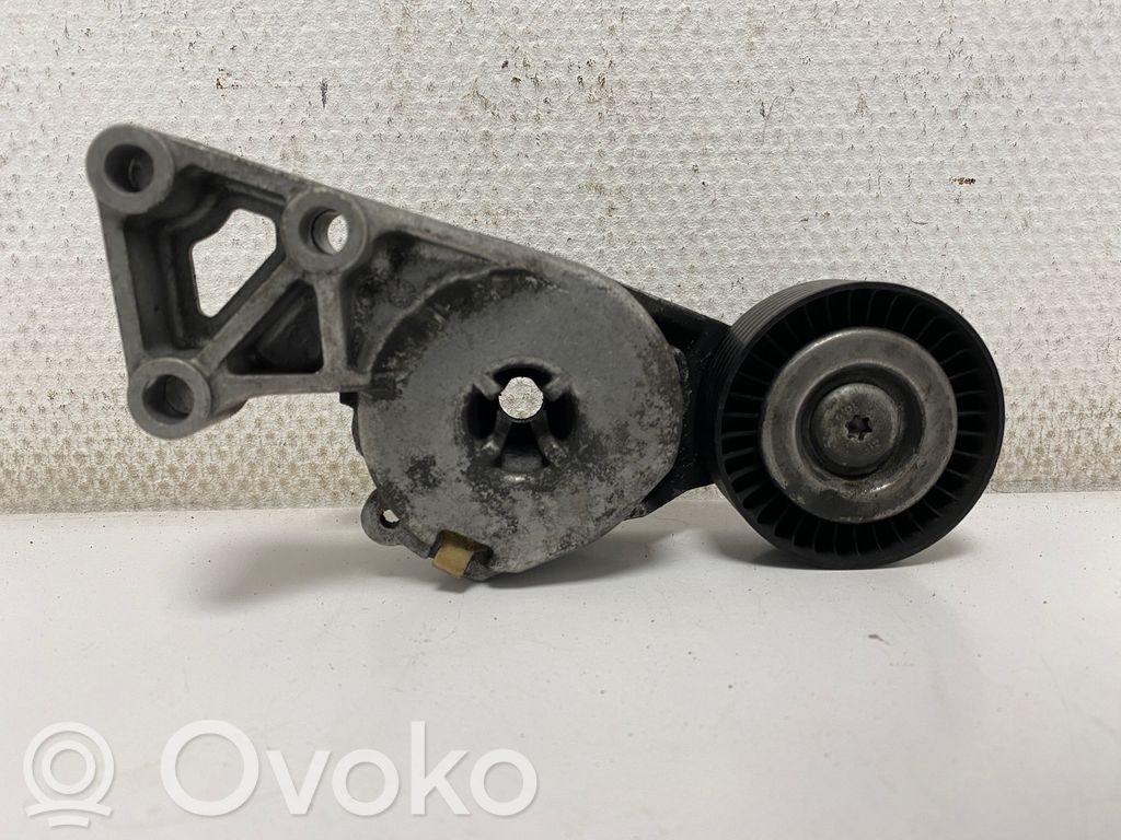 Napinacz paska alternatora   04873010001,04873010