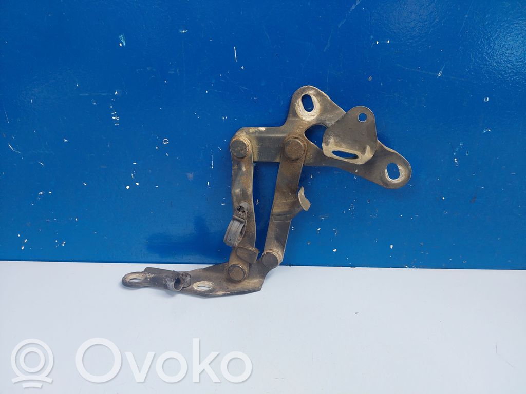 Volkswagen Sharan Balamale capotă 