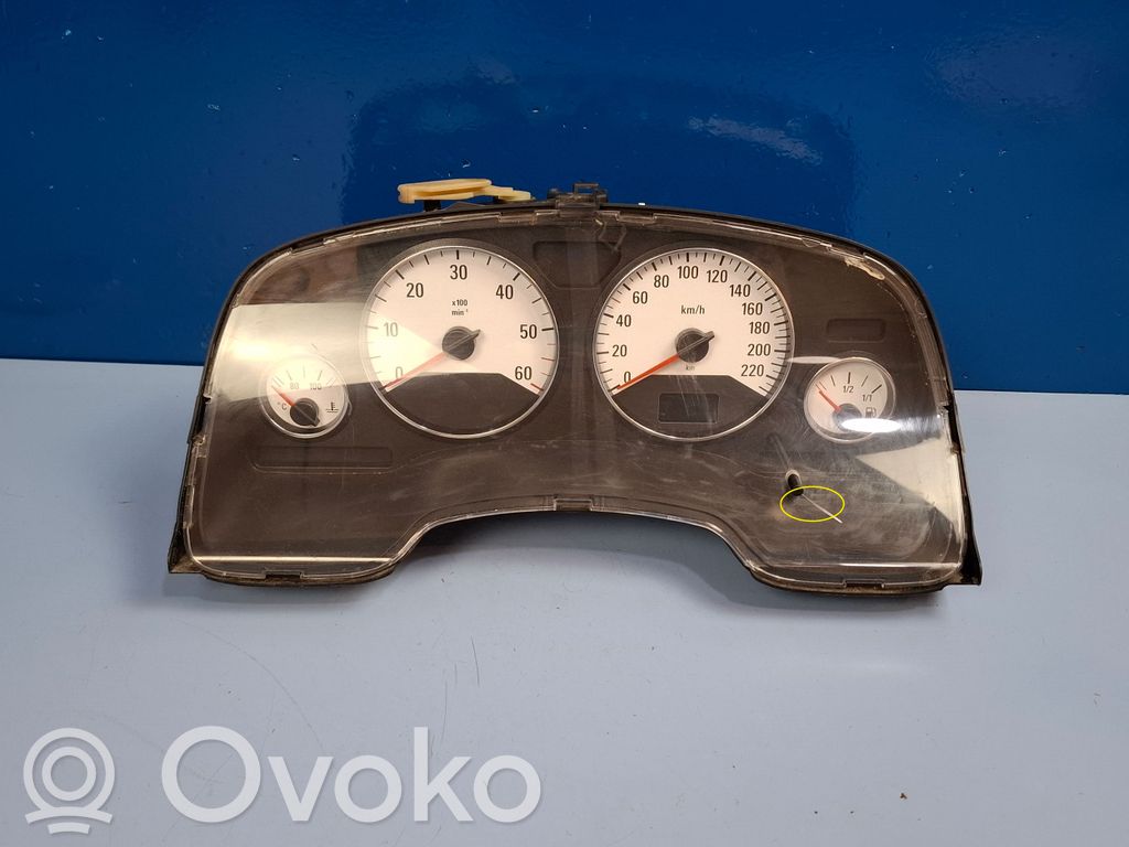 Licznik / Prędkościomierz   24461761JN,110080210002
