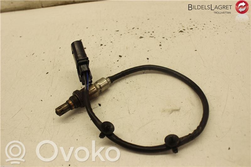 Sonda lambda   55595508,55595508,55595508