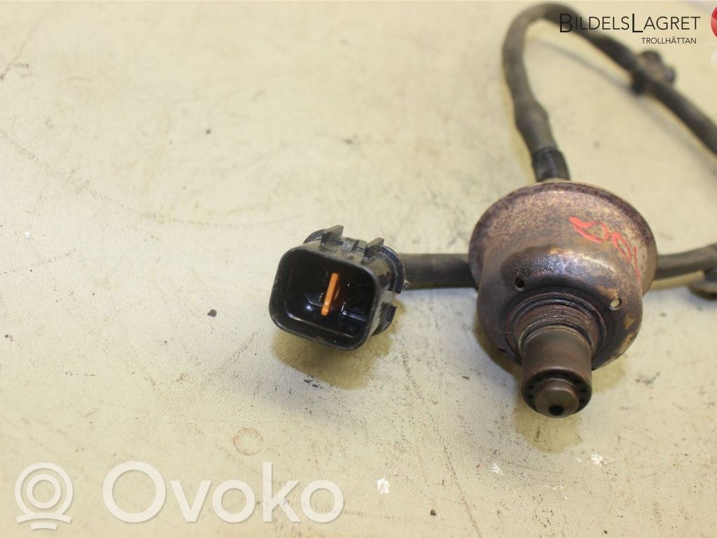 Lambda probe sensor   3921004005