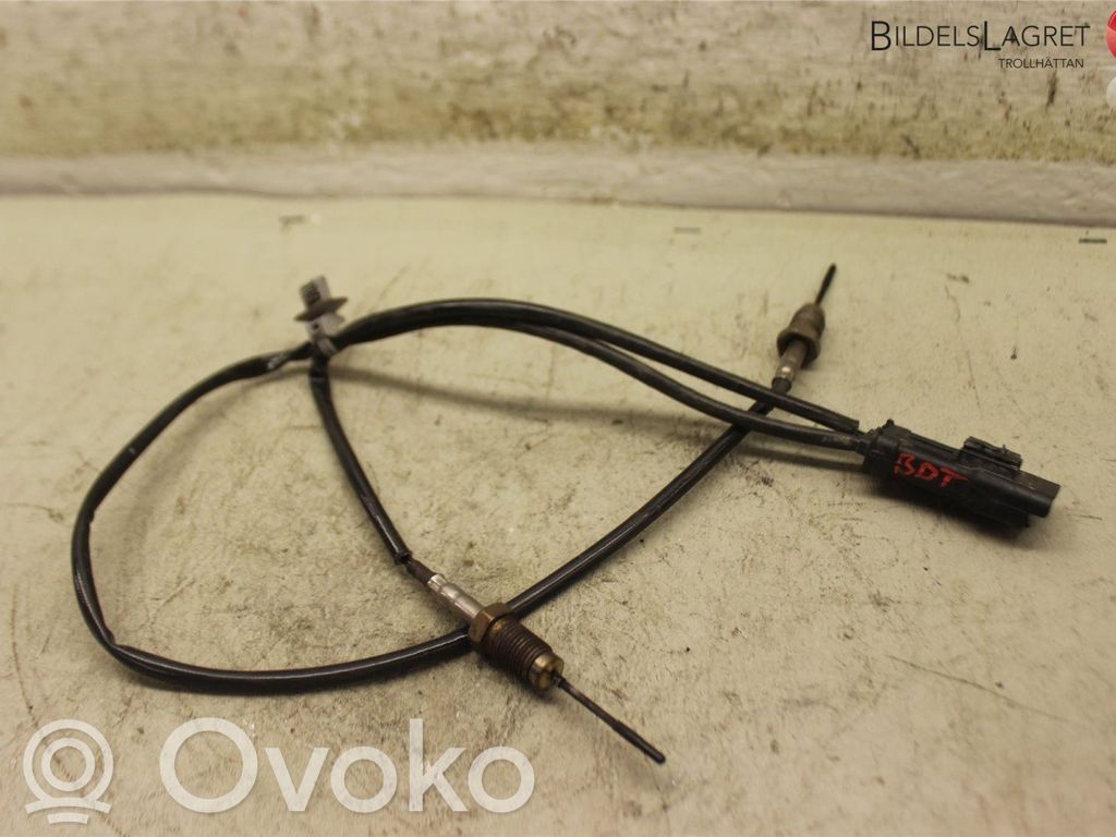 Exhaust gas temperature sensor   9812376480