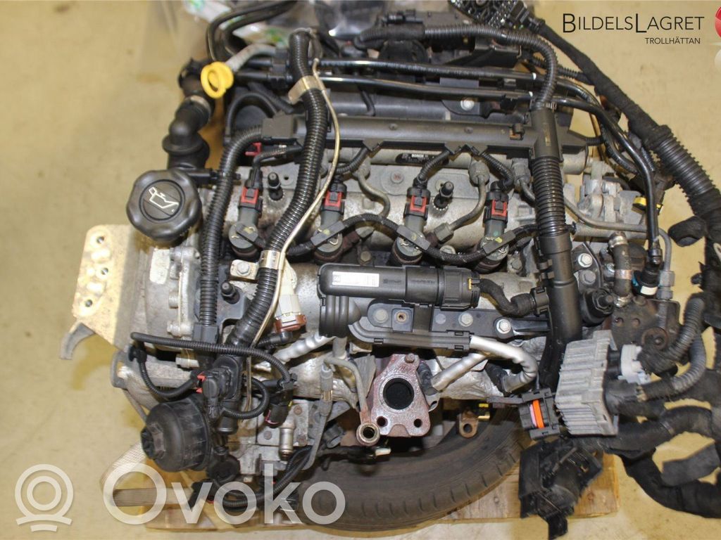 Motor   55573670,95507942
