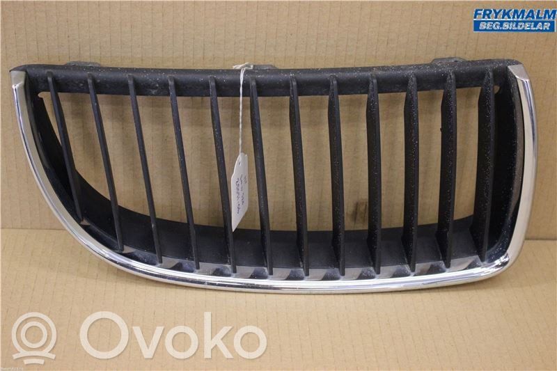 Front bumper lower grill   51137120008
