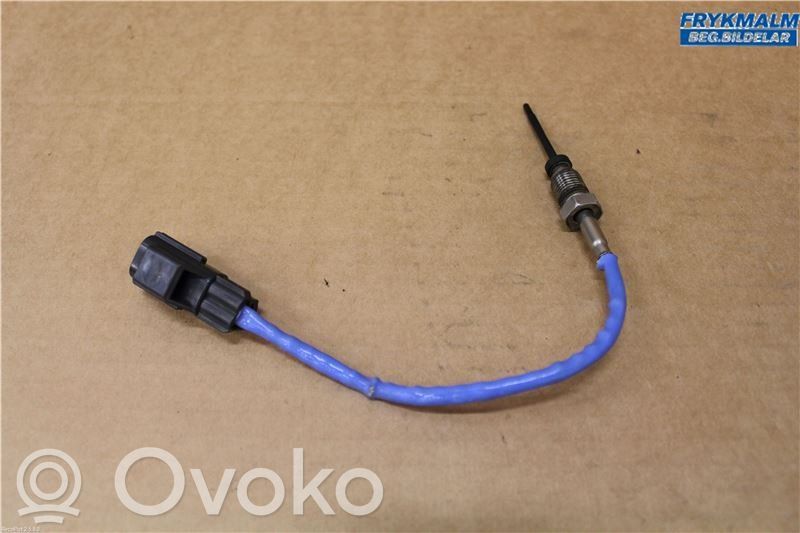 Exhaust gas temperature sensor   1496243,8C1112B591CA