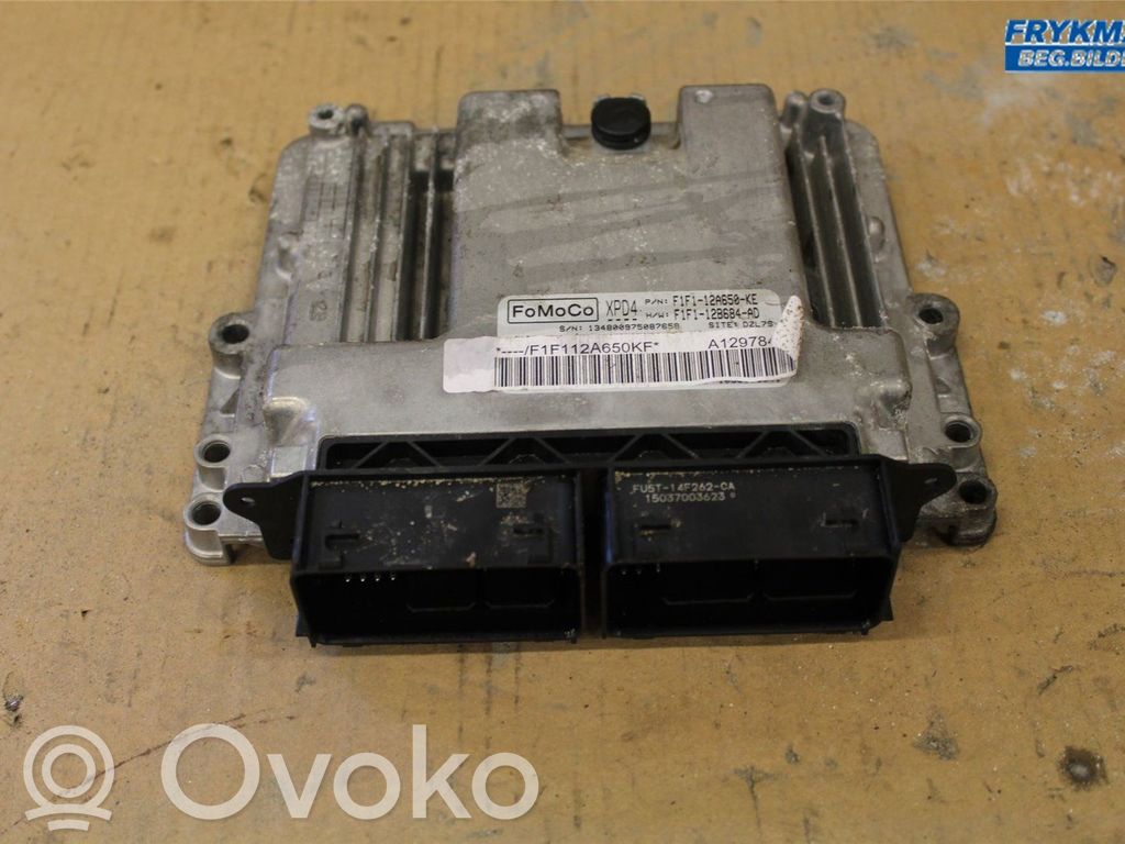 Ford Focus Injection control unit/module 