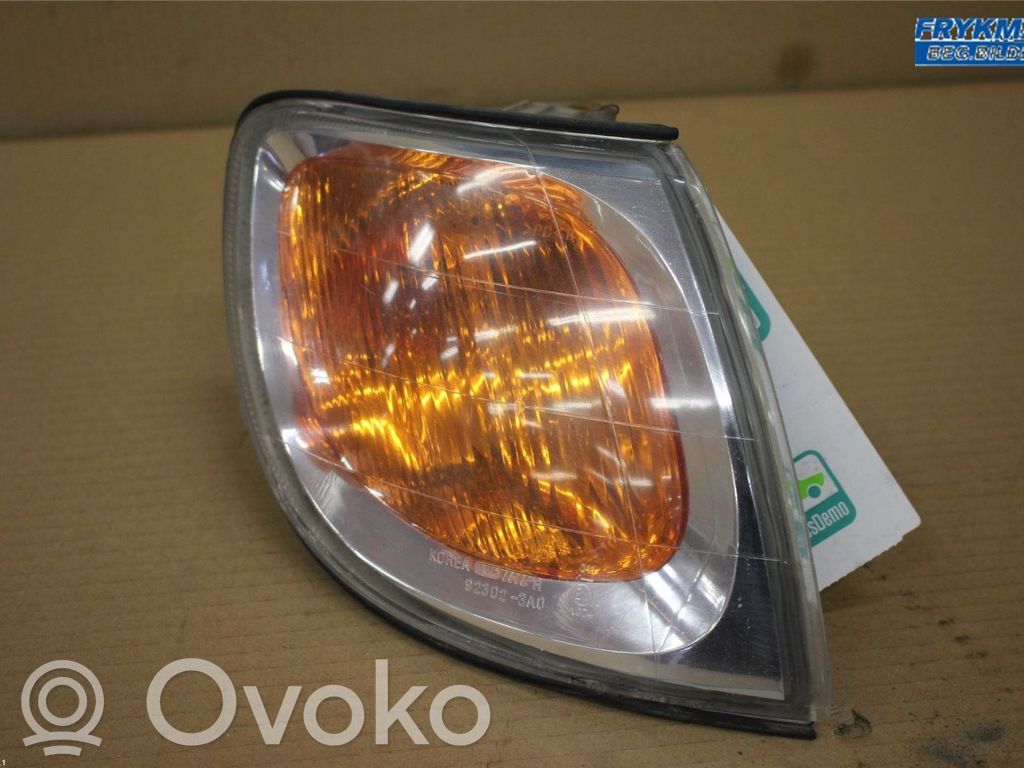 Hyundai Trajet Frontblinker 