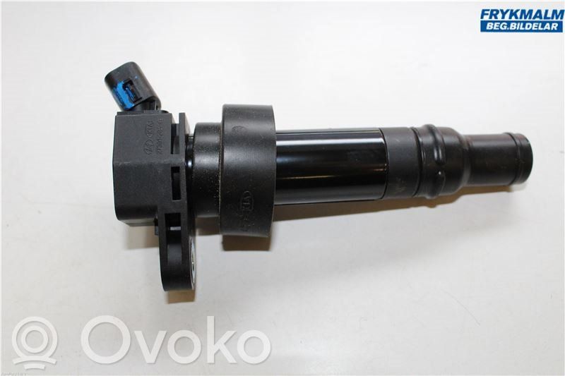 High voltage ignition coil   273012B100