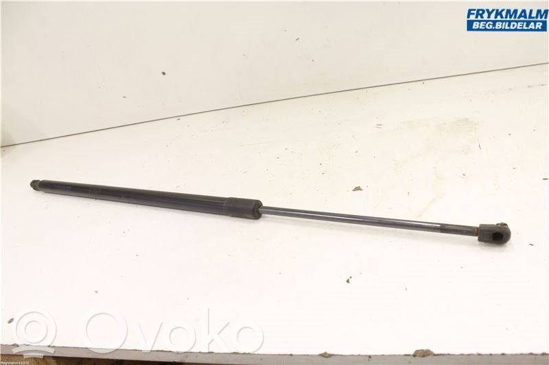 Tailgate strut   1945553