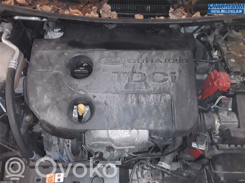 Ford Fiesta Motor 