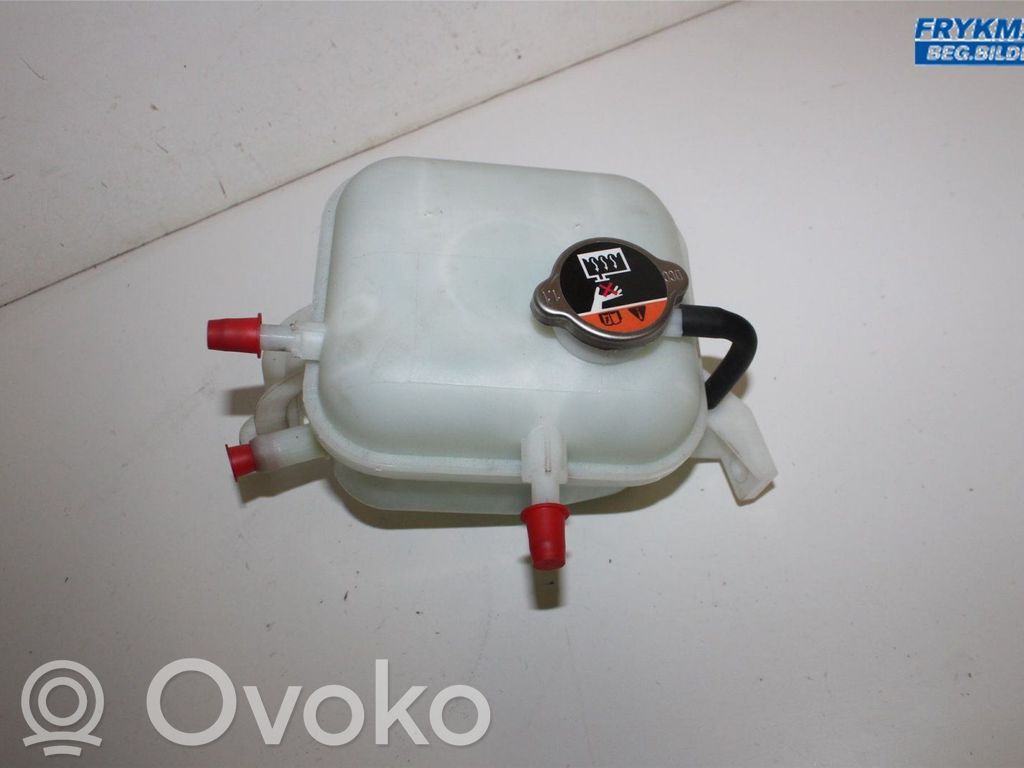KIA Rio Coolant expansion tank/reservoir 