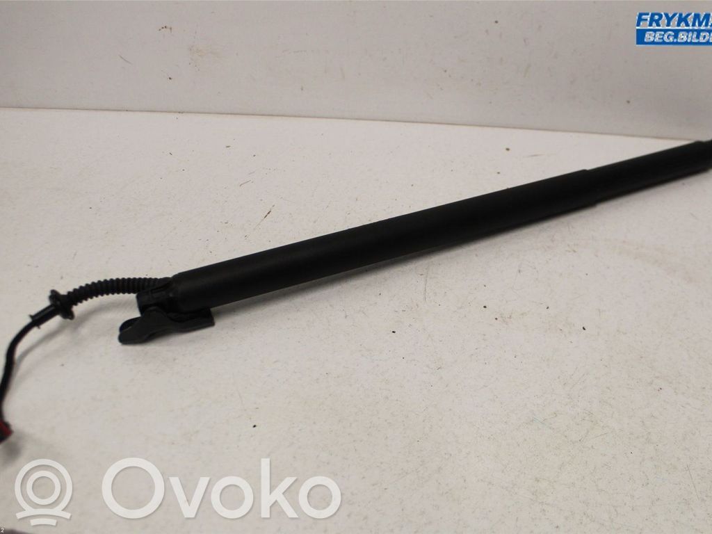 KIA Ceed Tailgate strut 