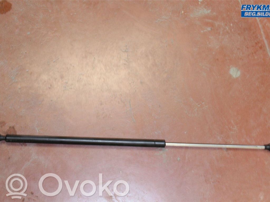 Tailgate strut   8731E0