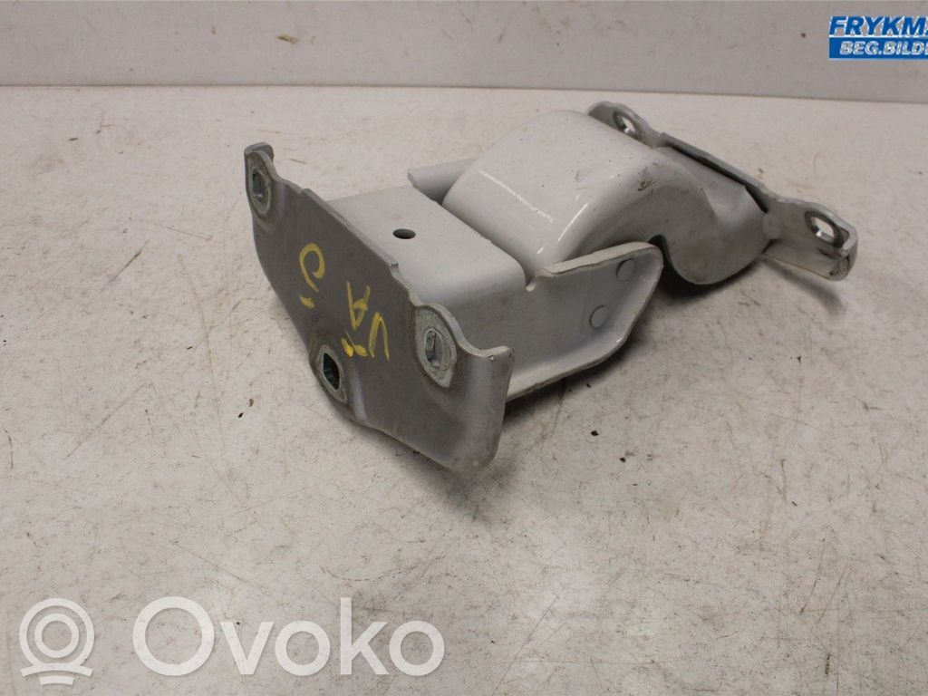 Renault Trafic III (X82) Rear door upper hinge 