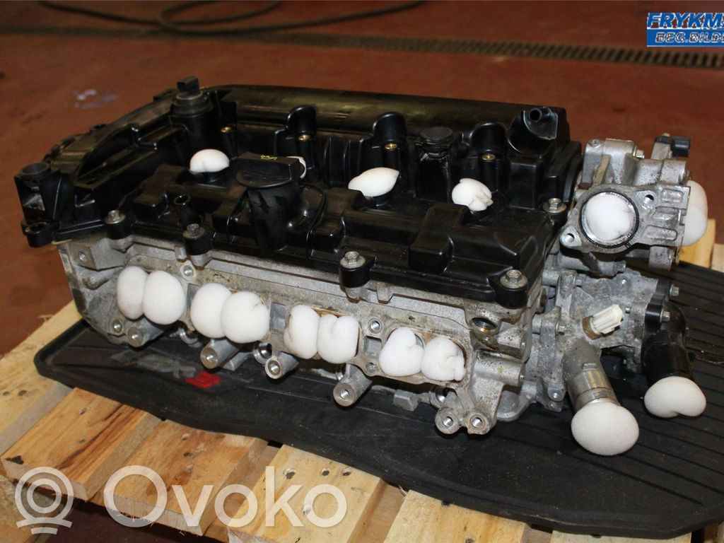 Galvutė   PE0110100C