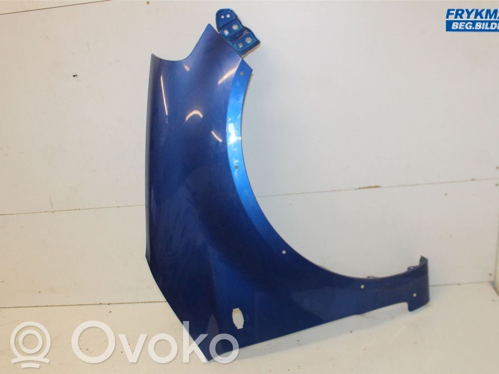Guardabarro   5761179J00