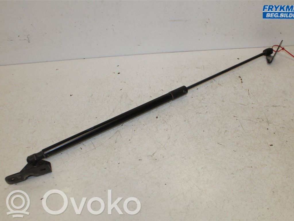 Ford Focus Tailgate strut 